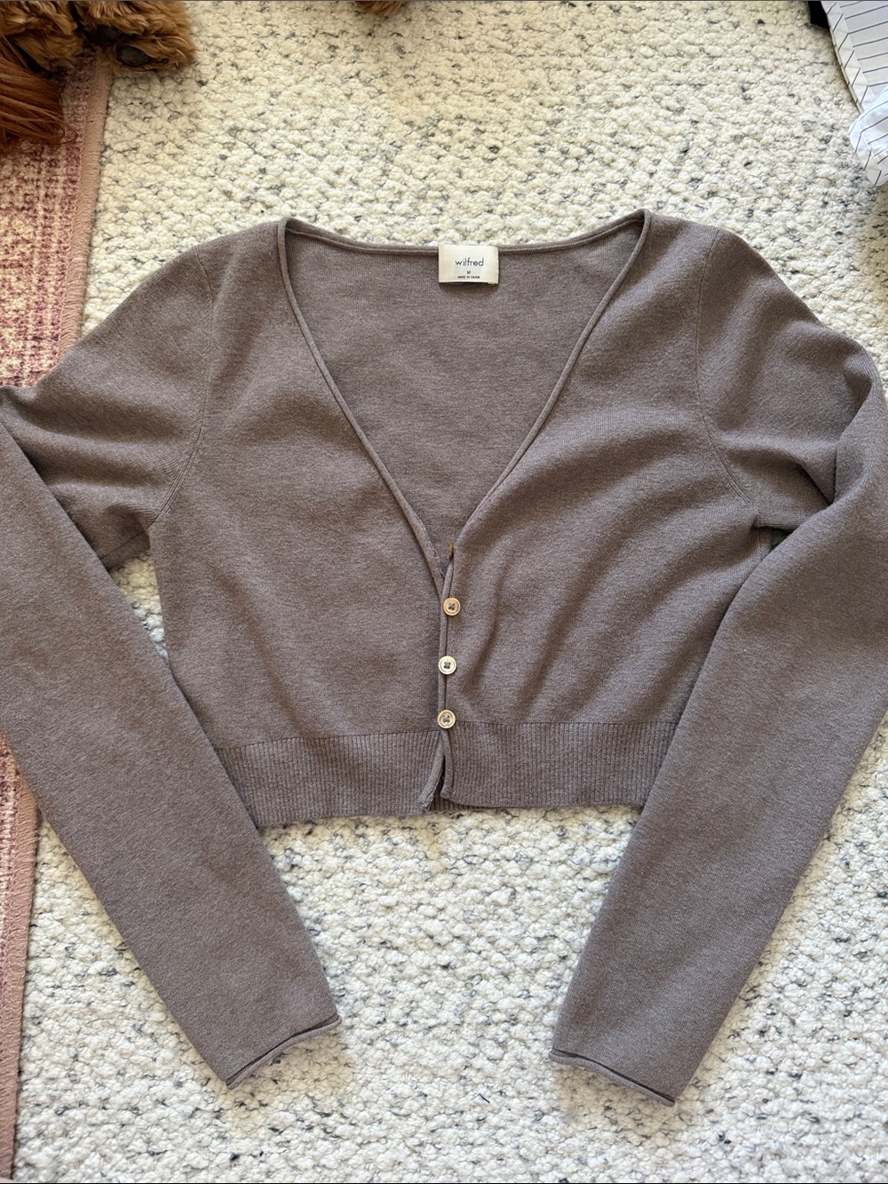 Wilfred Taupe Cropped V-Neck Button Cardigan - Picture 1 of 1
